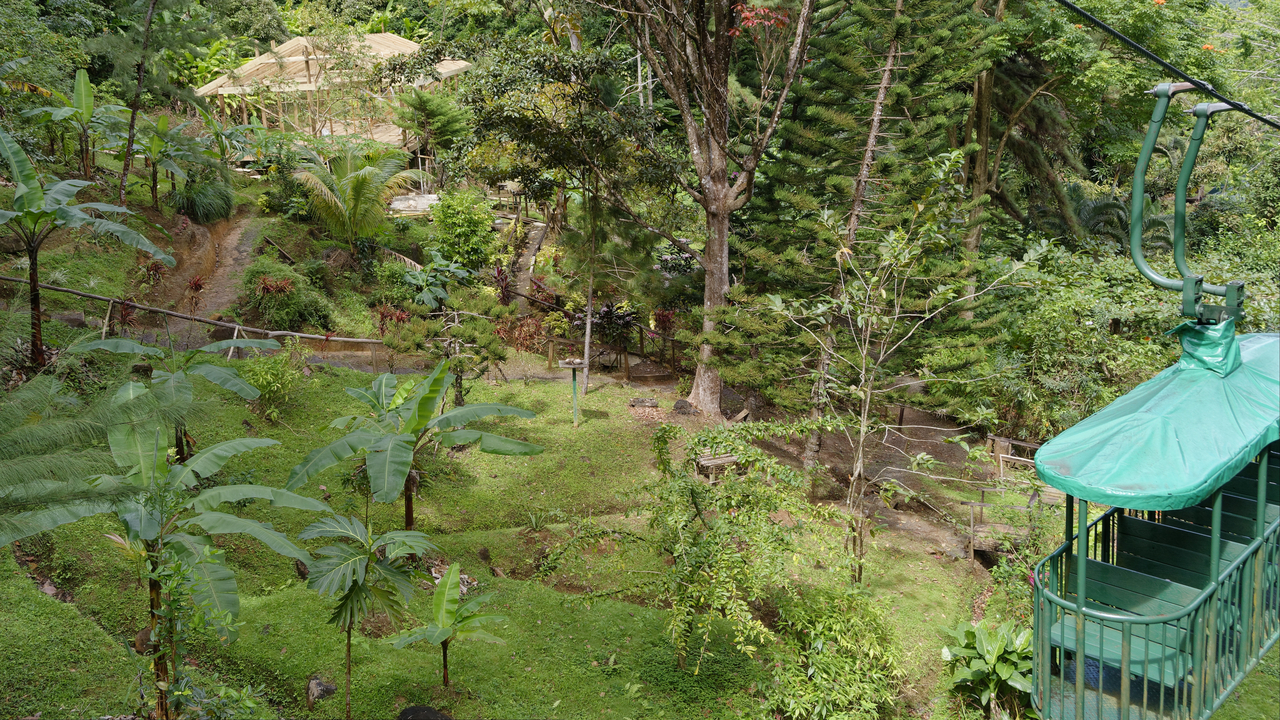 20190201-110942•Rain Forst Aerial Tram•Bisee•Castries•St Lucia